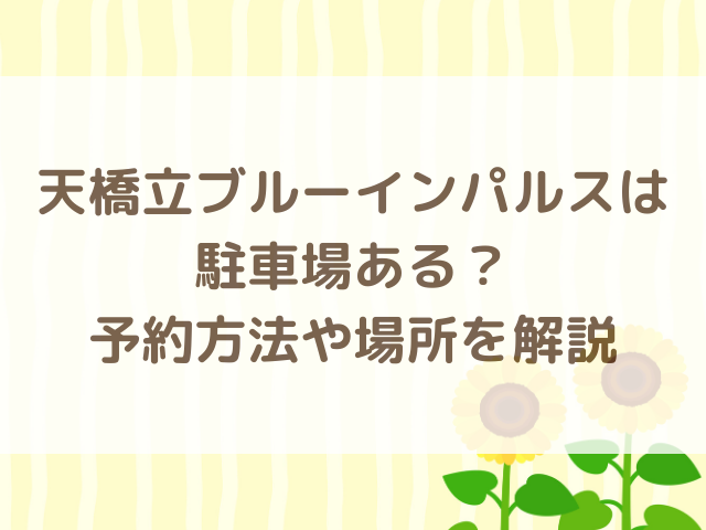 天橋立ブルーインパルスは駐車場ある？予約方法や場所を解説