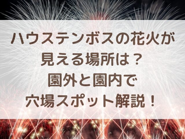 ハウステンボスの花火が見える場所は？園外と園内で穴場スポット解説！