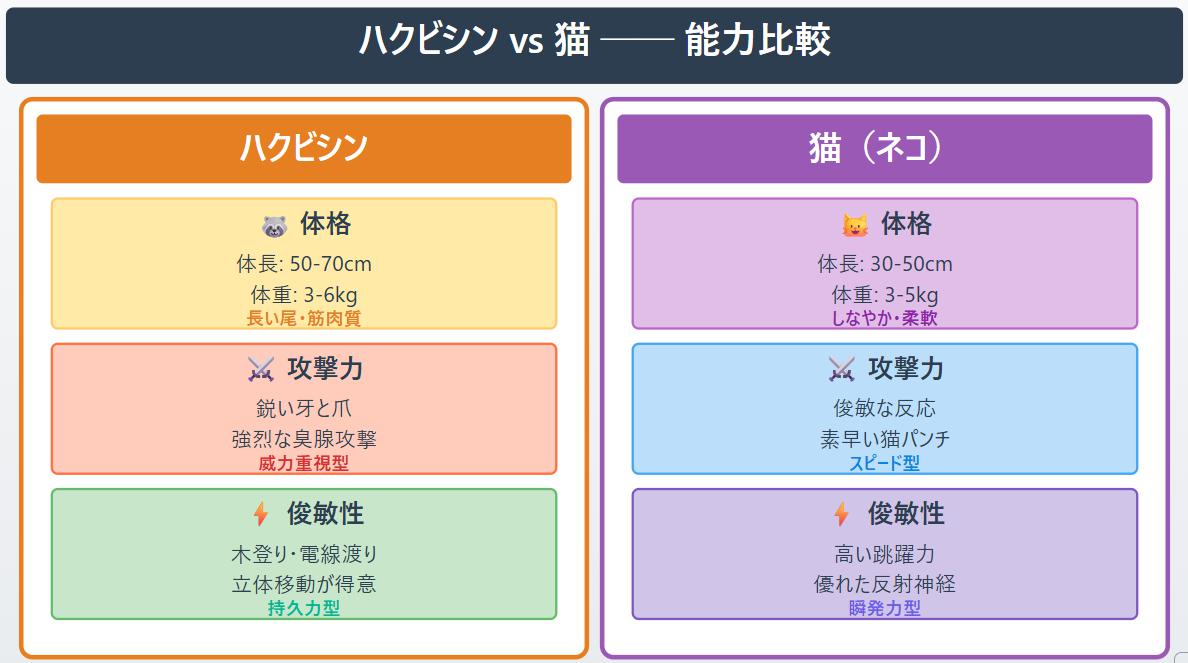 ハクビシンが猫食べることある?どっちが強いか飼い猫を守る方法も