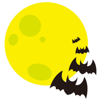 コウモリ一匹いたら何匹いる？見なかったふりはNG！すぐにできる対処法を解説